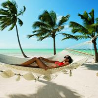 Отзыв от Амира - DTV виза